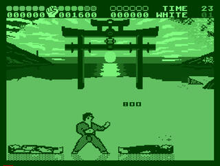 ZX Spectrum - ZXSEC - International Karate Plus