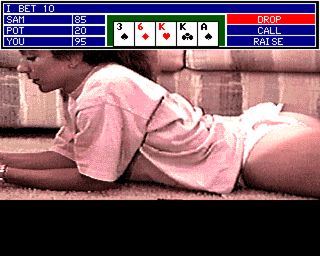 Amiga GameBase Strip_Poker_II_/_Deluxe_Strip_Poker_-_Data_Disk_#2_-_Jack_&_Samantha Artworx 1988