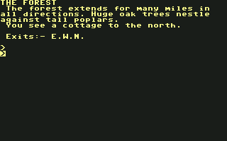 C64 GameBase Dark_Tower,_The River_Software