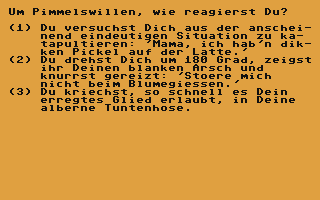 C64 GameBase Fick_dich_selbst B-Soft_PD 1997