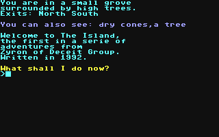 C64 GameBase Island,_The (Public_Domain) 1992