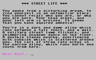 C64 GameBase Street_Life The_Guild_Adventure_Software