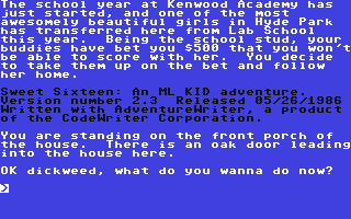 C64 GameBase Sweet_Sixteen CodeWriter_Coporation 1986