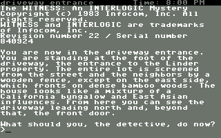 C64 GameBase Witness,_The Infocom 1984