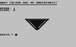 C64 GameBase What_Colour_Are_My_Underpants? (Public_Domain) 2004