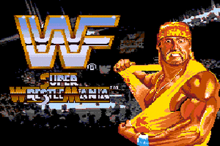 SMD GameBase WWF_Super_Wrestlemania Acclaim_Entertainment,_Inc. 1992