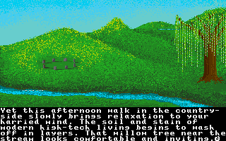 ST GameBase Ultima_IV_:_Quest_of_the_Avatar Origin_Systems 1988
