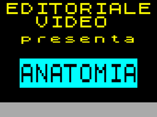 ZX GameBase Anatomia Editoriale_Video 1984