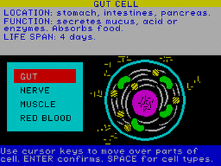 ZX GameBase Body_Works Genesis_Productions 1985