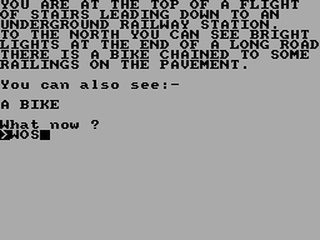 ZX GameBase Carl_Young's_Adventure