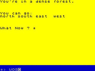 ZX GameBase Castlemaze_Adventure Duckworth_Educational_Computing 1984