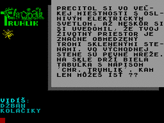 ZX GameBase Chrobak_Truhlik Ultrasoft_[2] 1991