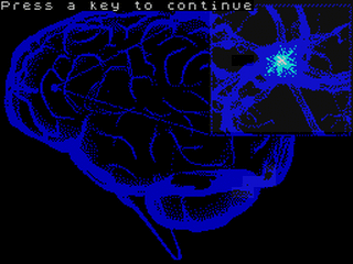 ZX GameBase Amazing_Thinking_Brain,_The CSSCGC 2015