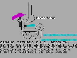 ZX GameBase Digestivo Boalox_Informatica 1984
