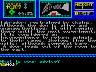 ZX GameBase Doomsday_(128K) Relion_Software 1991