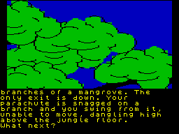ZX GameBase Emerald_Isle Level_9_Computing 1985