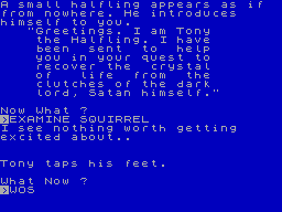 ZX GameBase Evil_Realm Turtle_Software 1985