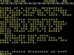 ZX GameBase Grimalkin_the_Cat_(128K) Sword_Software 1989