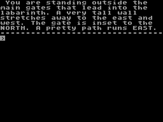ZX GameBase Labarinth The_Guild 1990