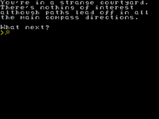 ZX GameBase Lost_City,_The Sinclair_User 1989
