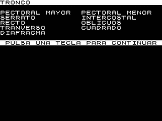 ZX GameBase Músculos Grupo_de_Trabajo_Software 1985
