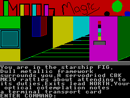 ZX GameBase Moon_Magic Psychaedelic_Hedgehog_Software 1989