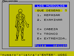 ZX GameBase Músculos MicroHobby 1985