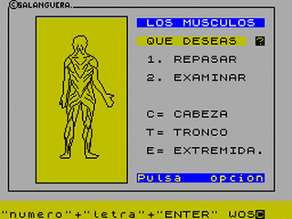 ZX GameBase Músculos MicroHobby 1985