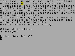 ZX GameBase Number_6_in_the_Village PR_Software 1986