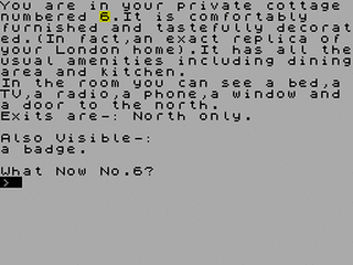 ZX GameBase Number_6_in_the_Village PR_Software 1986