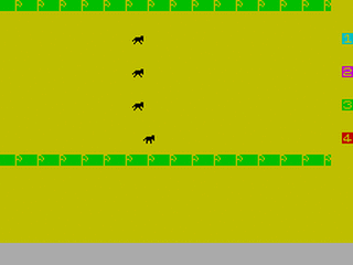ZX GameBase Pferderennen Homecomputer 1984