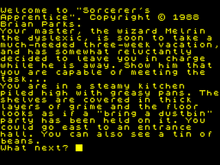ZX GameBase Sorcerer's_Apprentice Brian_Parks 1988