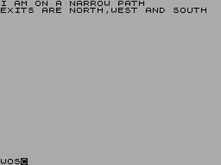 ZX GameBase Steve_Silver_Adventure_1 WB_Software 1983