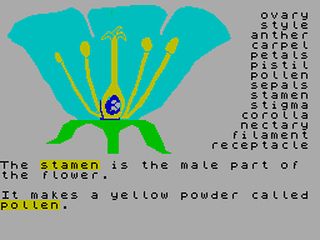 ZX GameBase Structure_of_the_Flower,_The Calpac_Educational_Software 1983