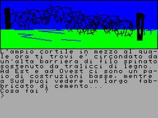 ZX GameBase Ted_Barret:_Lager Viking 1987