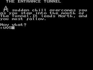 ZX GameBase Tunnel,_The Hometown_Software