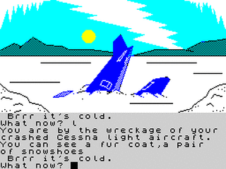 ZX GameBase Winter_Wonderland Incentive_Software 1986
