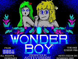 ZX GameBase Wonder_Boy Activision 1987
