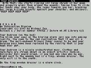 ZX GameBase [Zxzvm]_Bedlam:_An_Interactive_Preview Michael_Zey 1997