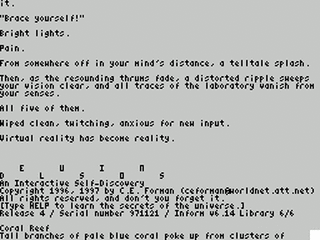 ZX GameBase [Zxzvm]_Delusions:_An_Interactive_Self_Discovery Christopher_E._Forman 1996