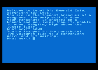 Atari GameBase Emerald_Isle Level_9_Computing 1985