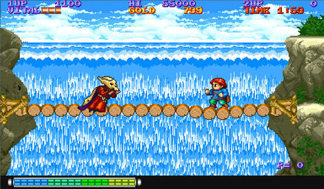 Arcade:CPS-1:Raine:Willow:Capcom:1989